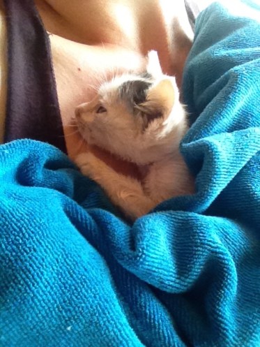 Safe and Warm after a terrifying ordeal