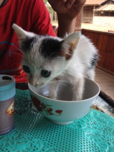 In his lunch dish :)