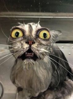 aee4e48932488e3cf3317863210fdd55