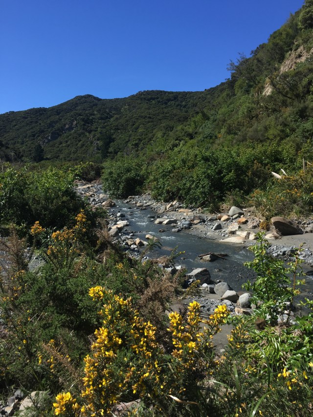 Putangirua valley floor